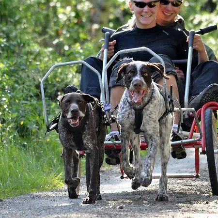 Camping Birkelund