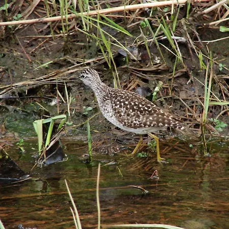 Birkelund Camping Geilo