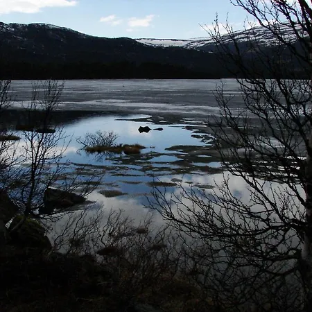 Birkelund *