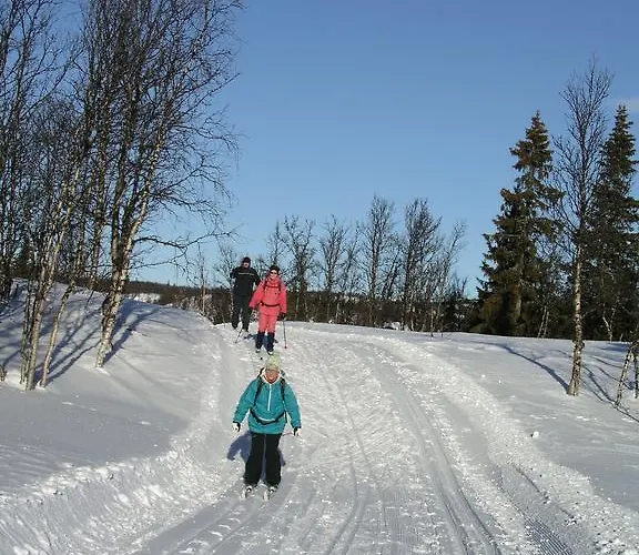 Birkelund * Geilo