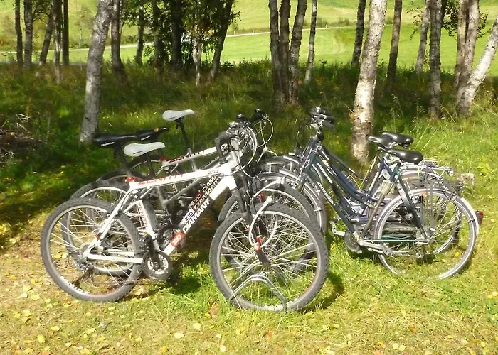 Birkelund Kamp alanı *