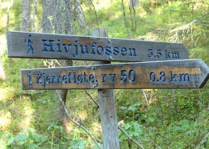 Kamp alanı Birkelund