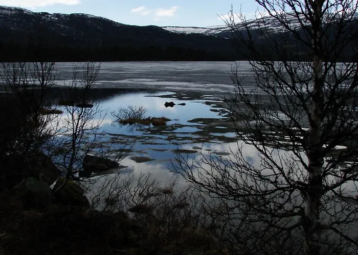 Birkelund *