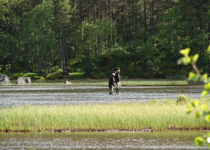 Birkelund Kamp alanı Geilo