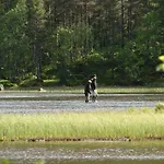Birkelund キャンプ場 ヤイロ