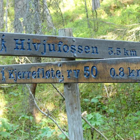 אתר קמפינג Birkelund