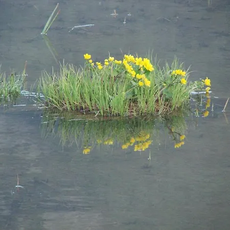 Birkelund Campeggio *